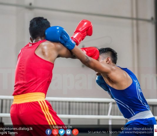 Boxing News Photos Fixtures Thepapare Com